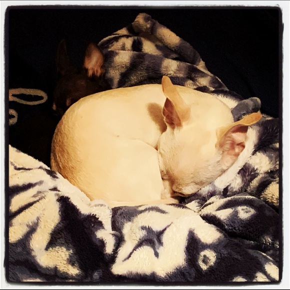 Counting sheep? 🐑 - Picture 4 of 11